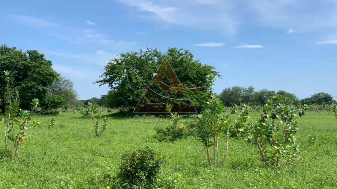 Foto 7 de Fazenda / Haras com 1 quarto à venda, 16777215m2 em Jaiba - MG