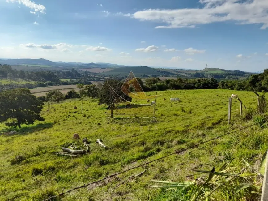 Foto 6 de Fazenda / Haras com 3 quartos à venda, 130000m2 em Centro, Lavras - MG