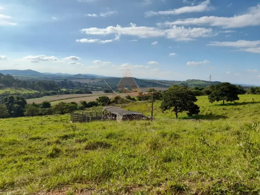 Foto 5 de Fazenda / Haras com 3 quartos à venda, 130000m2 em Centro, Lavras - MG