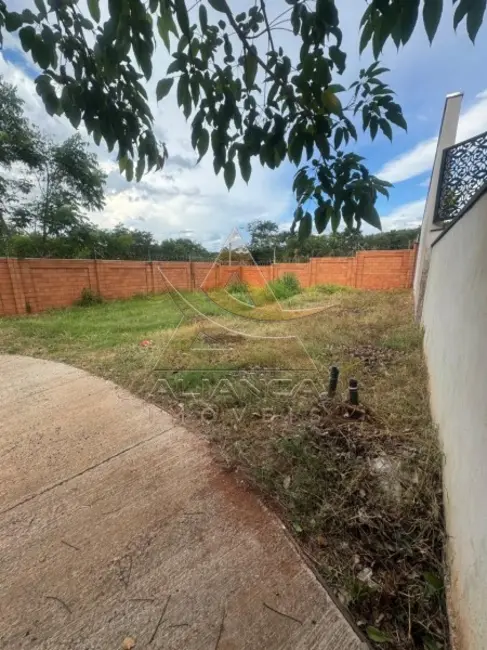 Loja à venda, 24m2 em Campos Elíseos, Ribeirao Preto - SP - imagem 5 Foto 5 de Loja à venda, 24m2 em Campos Elíseos, Ribeirao Preto - SP