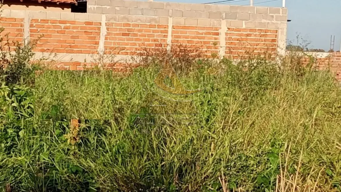 Foto 2 de Terreno / Lote à venda, 100m2 em Cravinhos - SP