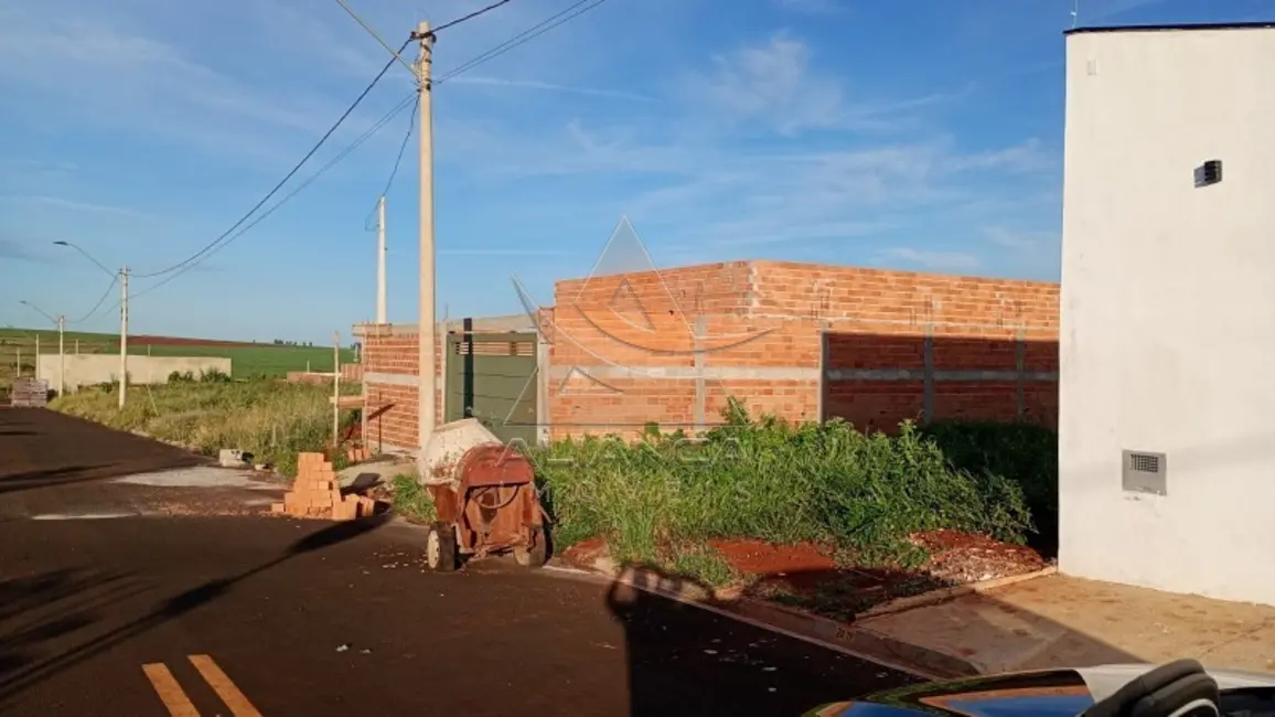 Foto 3 de Terreno / Lote à venda, 100m2 em Cravinhos - SP