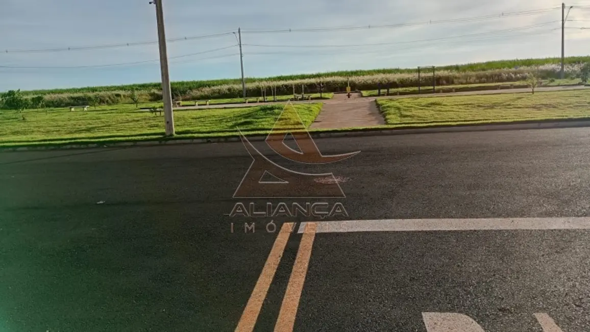 Foto 6 de Terreno / Lote à venda, 100m2 em Cravinhos - SP