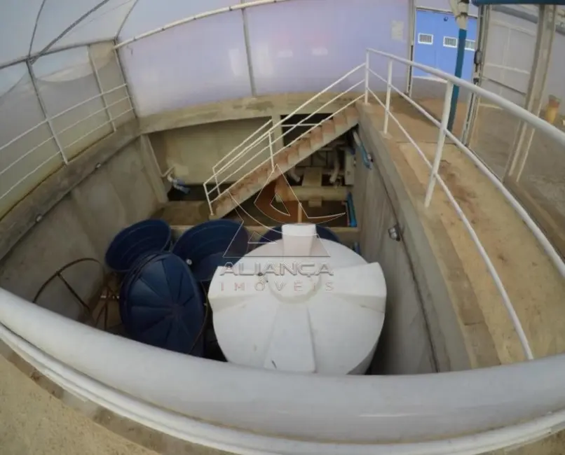 Foto 4 de Fazenda / Haras com 5 quartos à venda, 130000m2 em Sao Simao - SP