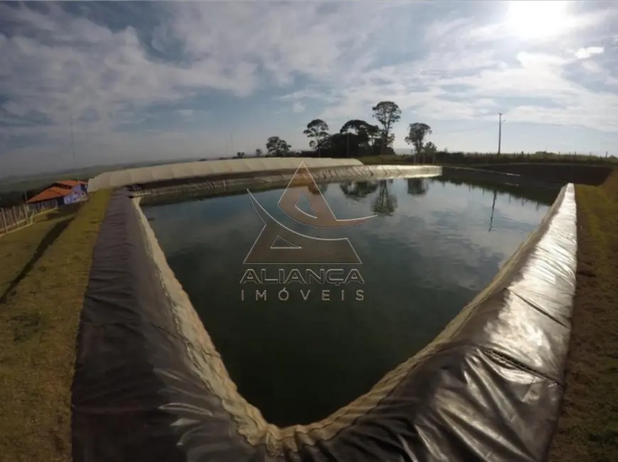 Foto 2 de Fazenda / Haras com 5 quartos à venda, 130000m2 em Sao Simao - SP