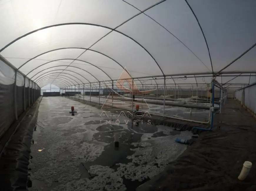 Foto 3 de Fazenda / Haras com 5 quartos à venda, 130000m2 em Sao Simao - SP