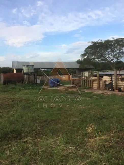 Foto 1 de Fazenda / Haras com 4 quartos à venda, 121000m2 em Cassia Dos Coqueiros - SP