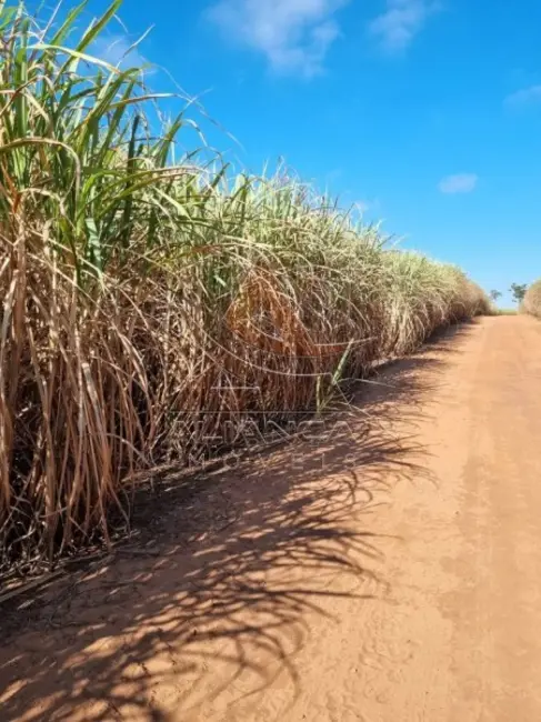 Foto 4 de Fazenda / Haras à venda, 768350m2 em Tambau - SP