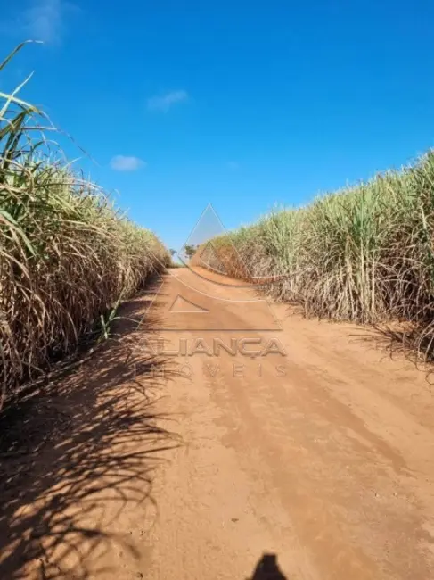 Foto 5 de Fazenda / Haras à venda, 768350m2 em Tambau - SP
