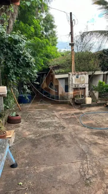 Chácara à venda, 1399m2 em Jardim Itaú, Ribeirao Preto - SP - imagem 9 Foto 9 de Chácara à venda, 1399m2 em Jardim Itaú, Ribeirao Preto - SP