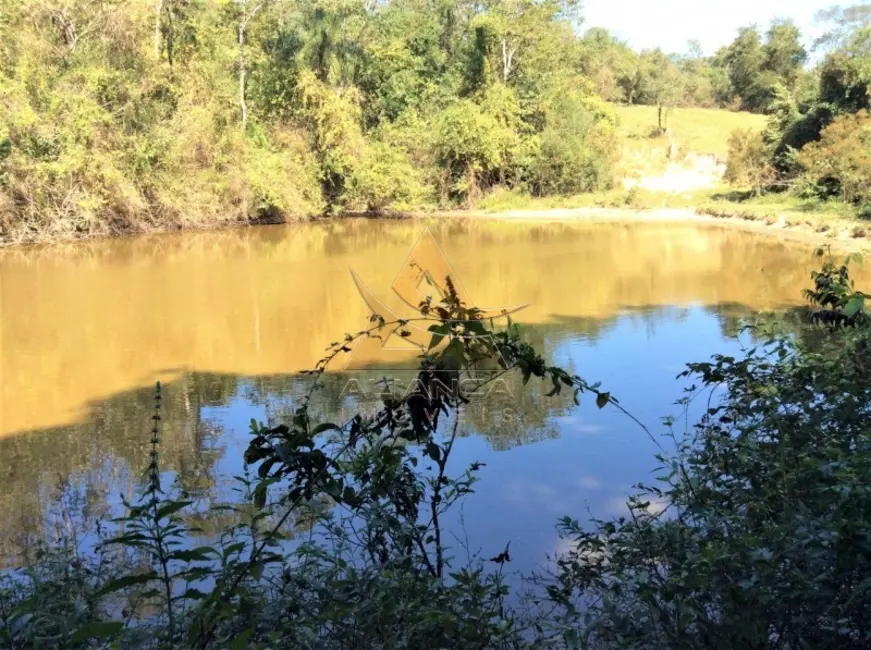 Fazenda / Haras com 8 quartos à venda, 217800m2 em Itu - SP - imagem 9 Foto 9 de Fazenda / Haras com 8 quartos à venda, 217800m2 em Itu - SP