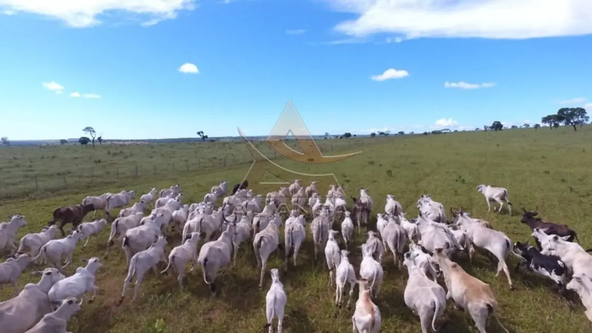 Foto 5 de Fazenda / Haras com 1 quarto à venda, 10648000m2 em Campo Grande - MS