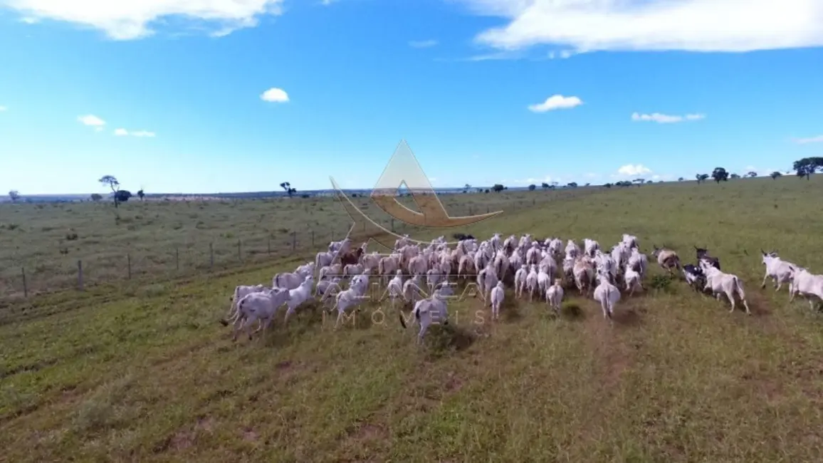 Foto 4 de Fazenda / Haras com 1 quarto à venda, 10648000m2 em Campo Grande - MS