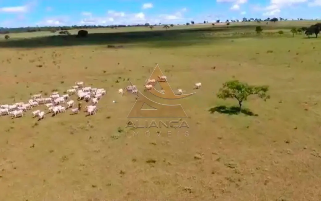 Foto 9 de Fazenda / Haras com 1 quarto à venda, 10648000m2 em Campo Grande - MS