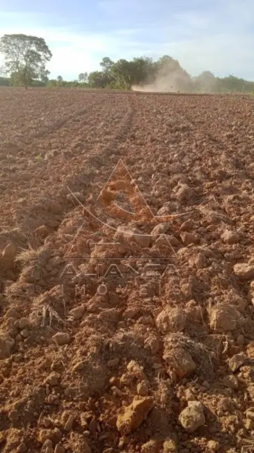 Foto 7 de Fazenda / Haras com 1 quarto à venda, 16777215m2 em Peixe - TO