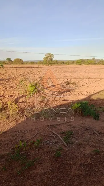 Foto 5 de Fazenda / Haras com 1 quarto à venda, 16777215m2 em Peixe - TO