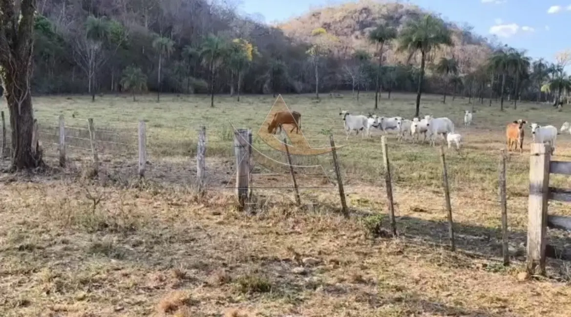 Foto 2 de Fazenda / Haras com 1 quarto à venda, 16777215m2 em Natividade - TO