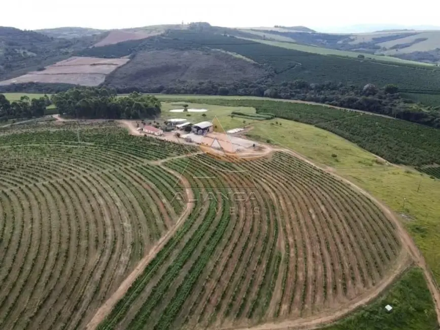 Foto 1 de Fazenda / Haras com 1 quarto à venda, 900000m2 em Guape - MG