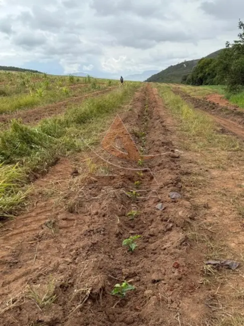 Foto 5 de Fazenda / Haras com 1 quarto à venda, 900000m2 em Guape - MG