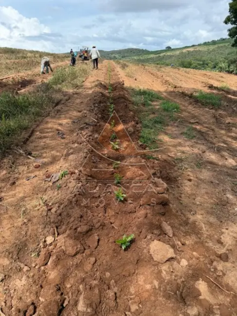 Foto 6 de Fazenda / Haras com 1 quarto à venda, 900000m2 em Guape - MG