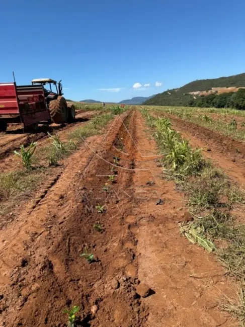 Foto 8 de Fazenda / Haras com 1 quarto à venda, 900000m2 em Guape - MG