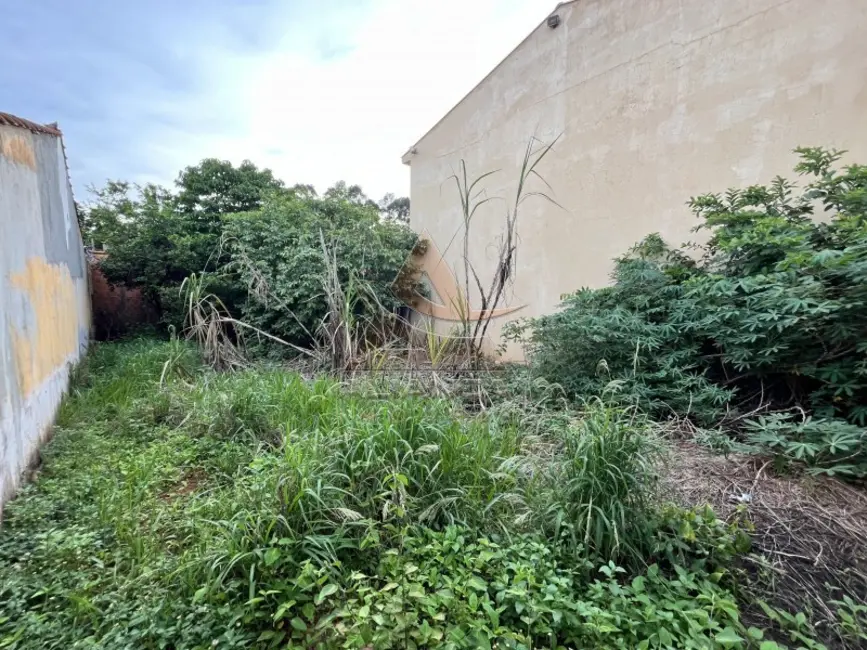 Foto 3 de Terreno / Lote à venda, 160m2 em Ribeirao Preto - SP