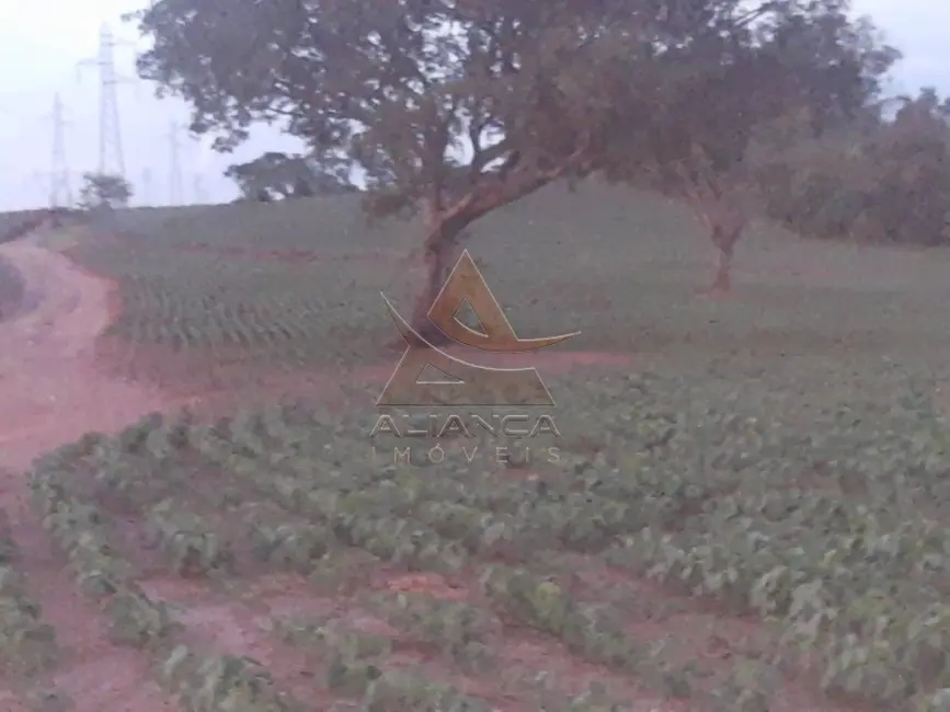 Foto 3 de Fazenda / Haras à venda em Cassia - MG