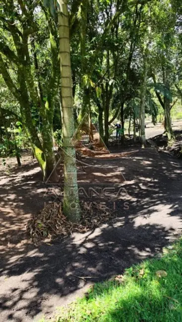 Foto 19 de Chácara à venda, 7000m2 em Cravinhos - SP