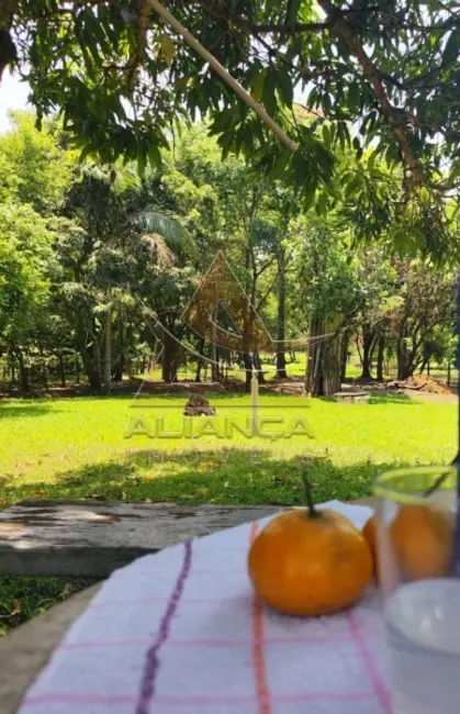 Foto 12 de Chácara à venda, 7000m2 em Cravinhos - SP