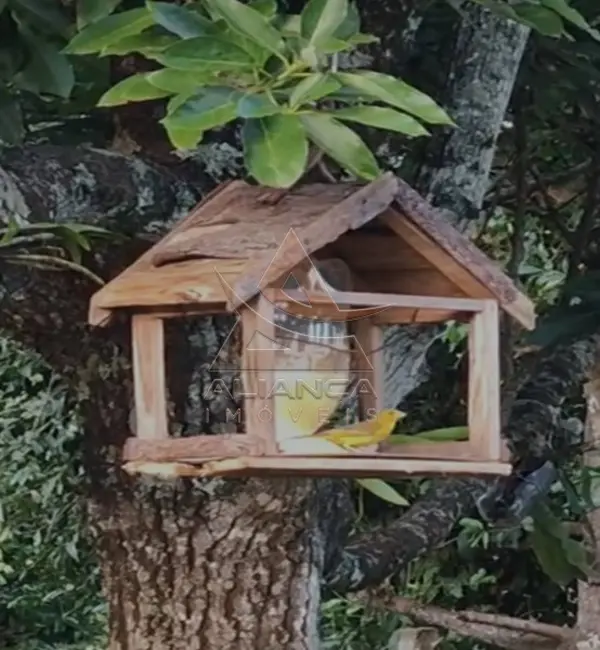 Chácara à venda, 7000m2 em Cravinhos - SP - imagem 3 Foto 3 de Chácara à venda, 7000m2 em Cravinhos - SP