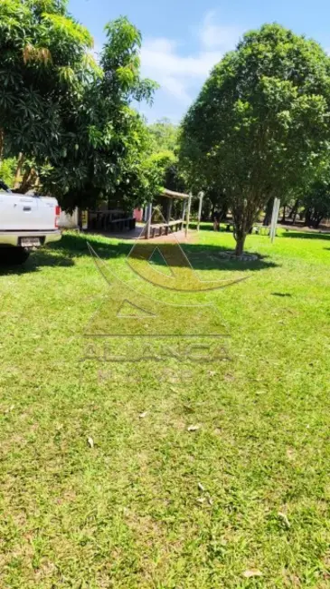 Chácara à venda, 7000m2 em Cravinhos - SP - imagem 9 Foto 9 de Chácara à venda, 7000m2 em Cravinhos - SP