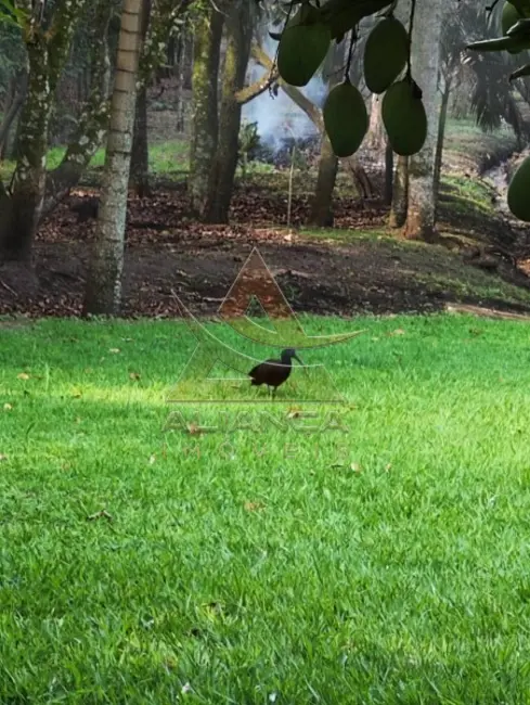 Foto 15 de Chácara à venda, 7000m2 em Cravinhos - SP
