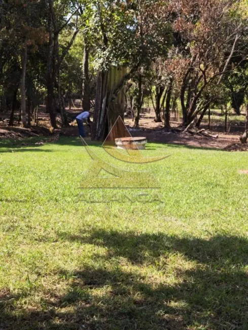 Foto 11 de Chácara à venda, 7000m2 em Cravinhos - SP