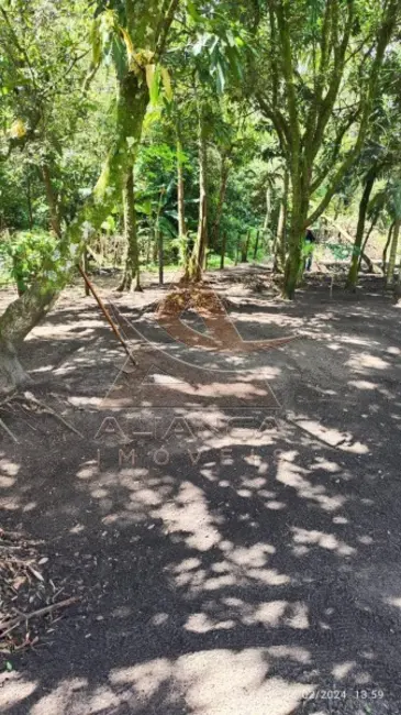 Foto 20 de Chácara à venda, 7000m2 em Cravinhos - SP