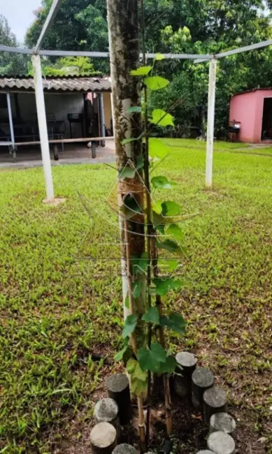 Foto 16 de Chácara à venda, 7000m2 em Cravinhos - SP