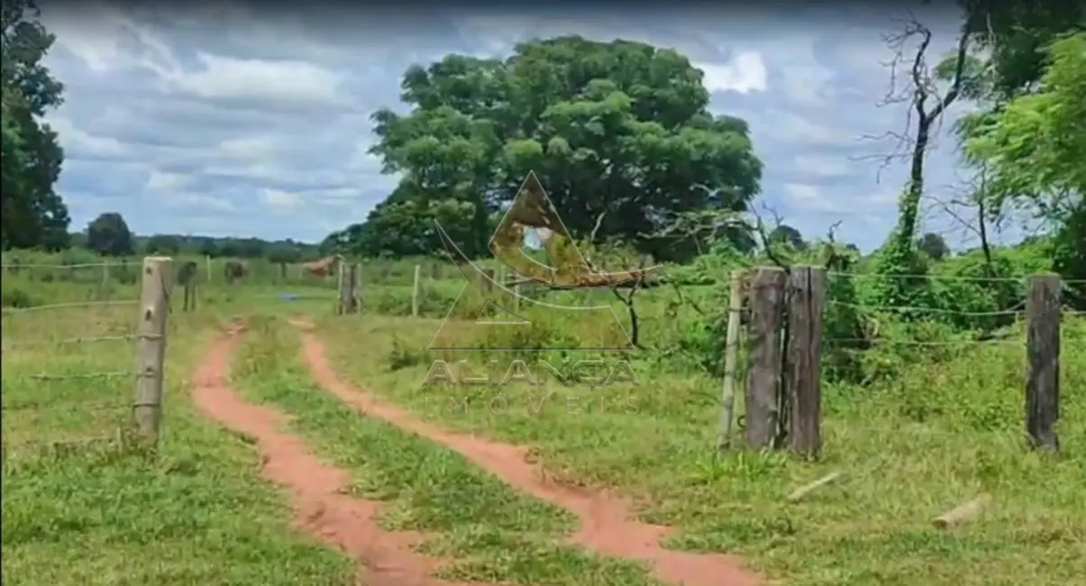 Foto 6 de Fazenda / Haras à venda em Jussara - GO