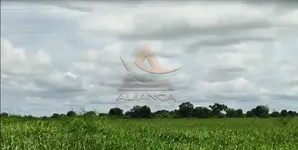 Imagem 12