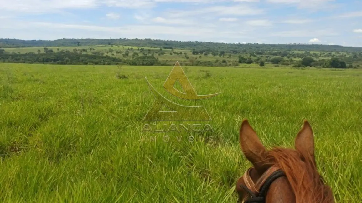 Foto 7 de Fazenda / Haras com 1 quarto à venda, 3670000m2 em Comendador Gomes - MG