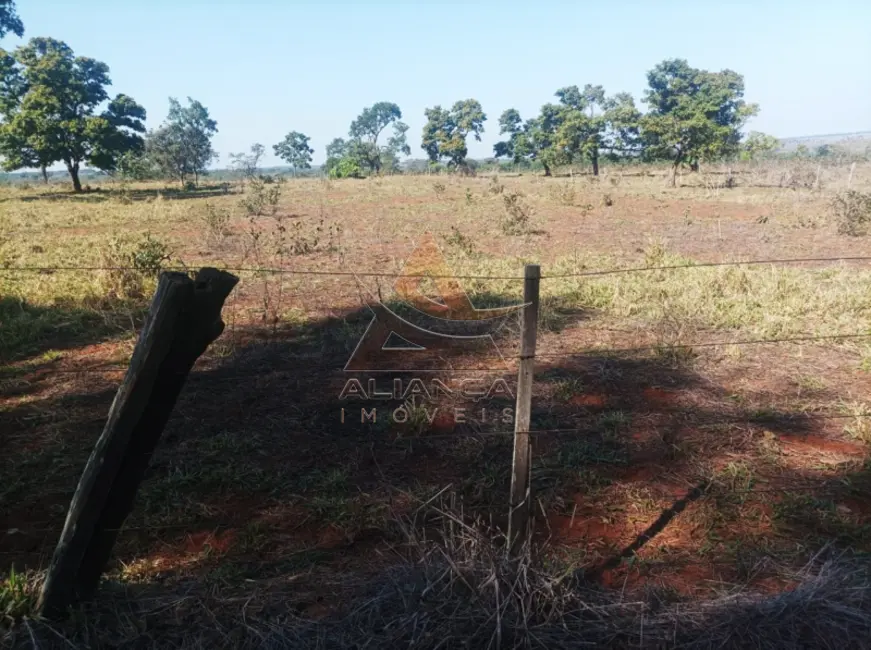 Foto 28 de Fazenda / Haras à venda em Paranaiba - MS