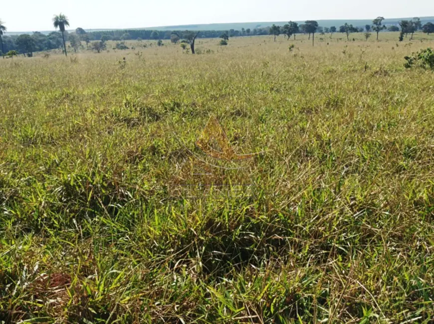 Foto 14 de Fazenda / Haras à venda em Paranaiba - MS