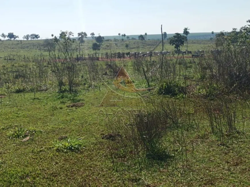 Foto 18 de Fazenda / Haras à venda em Paranaiba - MS