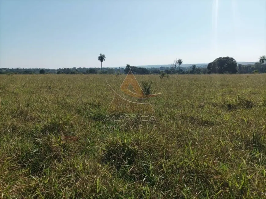 Foto 12 de Fazenda / Haras à venda em Paranaiba - MS