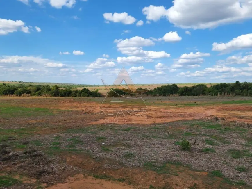 Foto 5 de Fazenda / Haras à venda em Campinorte - GO