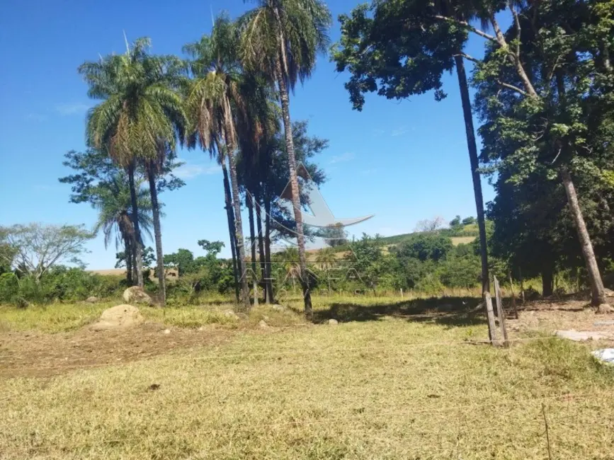 Foto 5 de Fazenda / Haras com 2 quartos à venda, 145200m2 em Mococa - SP