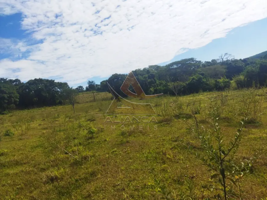 Foto 6 de Fazenda / Haras com 2 quartos à venda, 145200m2 em Mococa - SP