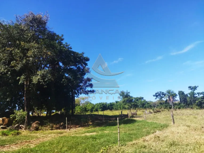 Foto 4 de Fazenda / Haras com 2 quartos à venda, 145200m2 em Mococa - SP