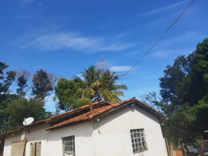 Foto 3 de Fazenda / Haras com 2 quartos à venda, 145200m2 em Mococa - SP