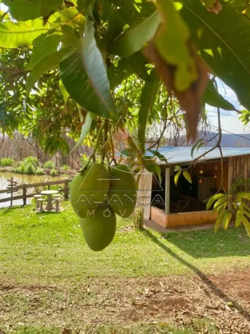 Foto 9 de Fazenda / Haras à venda, 255600m2 em Altinopolis - SP