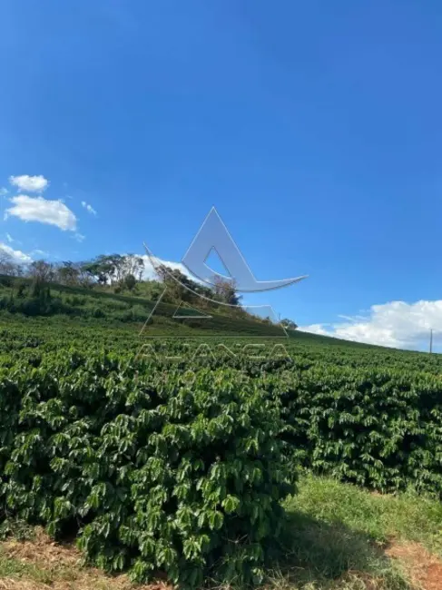 Foto 4 de Fazenda / Haras à venda, 255600m2 em Altinopolis - SP