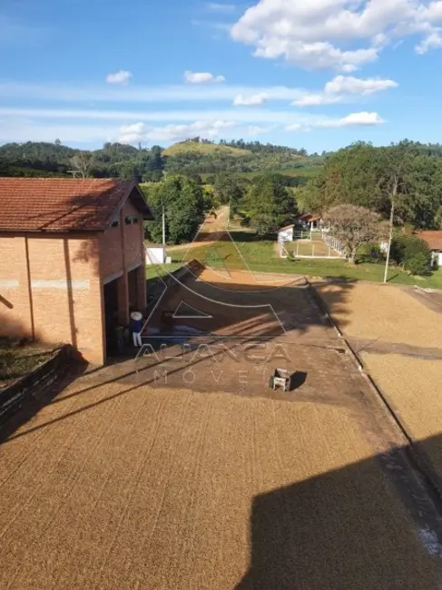 Foto 4 de Fazenda / Haras com 10 quartos à venda, 4910000m2 em Amparo - SP